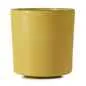 Preview: CARACTERE TASSE 22 cl Kurkuma