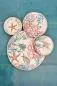 Preview: Servierteller / Servierplatte oval 52 x 30 cm Sea Life