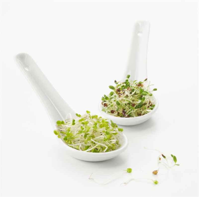 Preview: Taste / CHINESISCHER LÖFFEL 9 cm Weiss