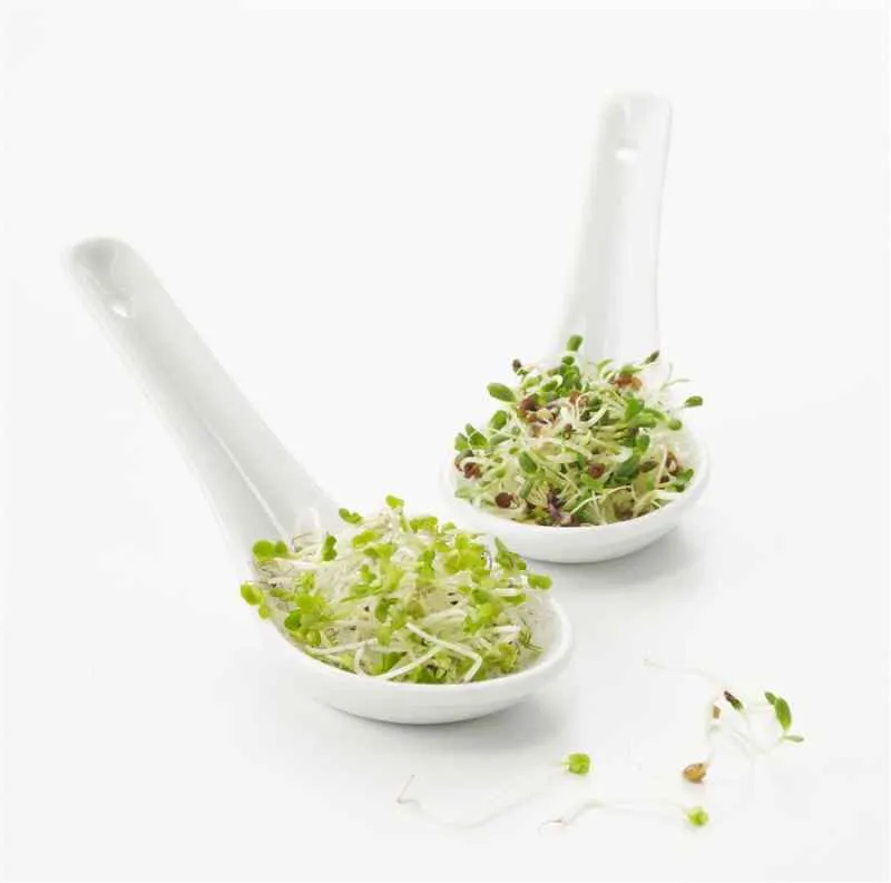 Amuse Gueule / Chinesischer Löffel 13 cm Weiss