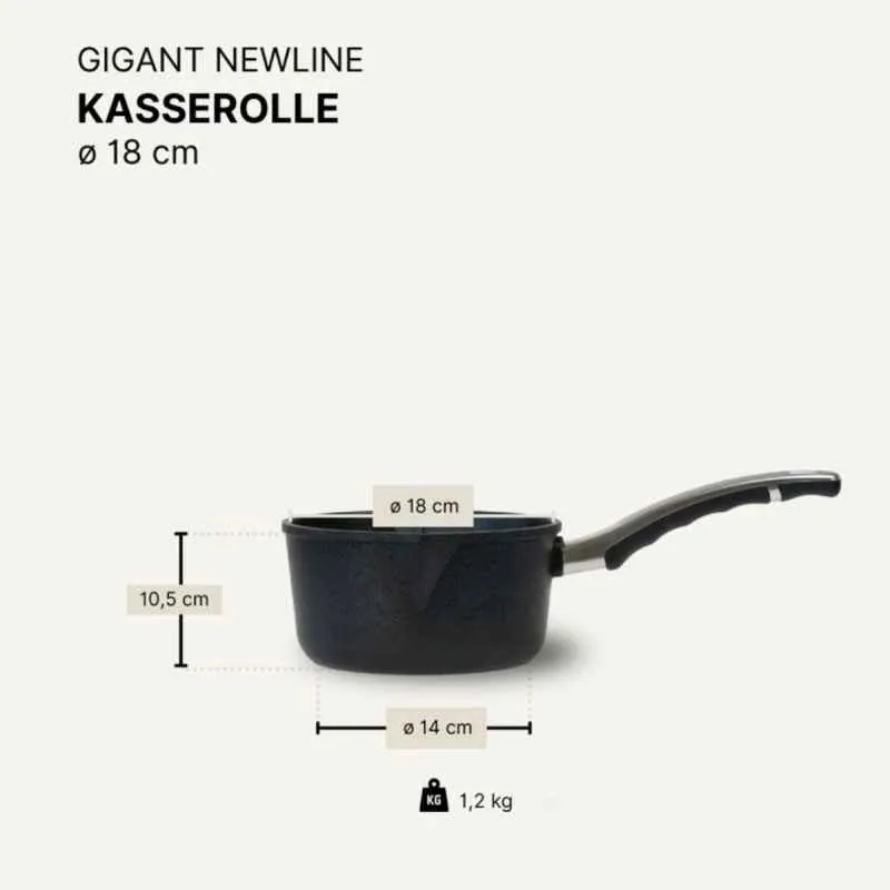 Stieltopf / Kasserolle 18 cm BAF GIGANT Newline für alle Herdarten