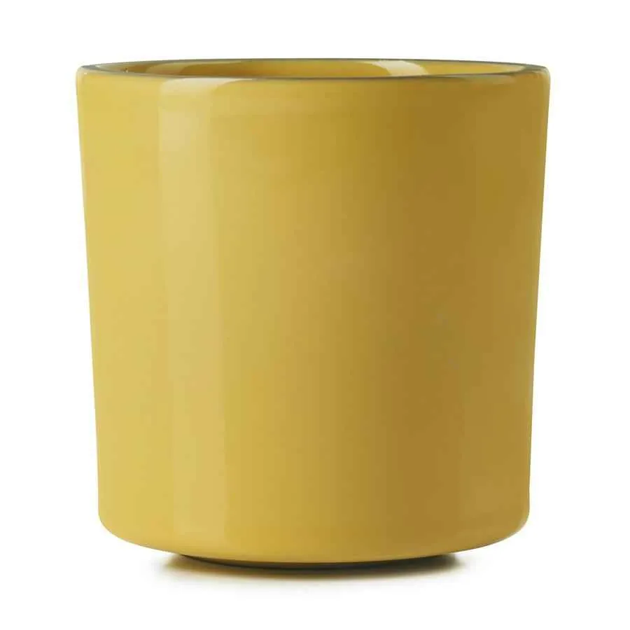 CARACTERE TASSE 22 cl Kurkuma