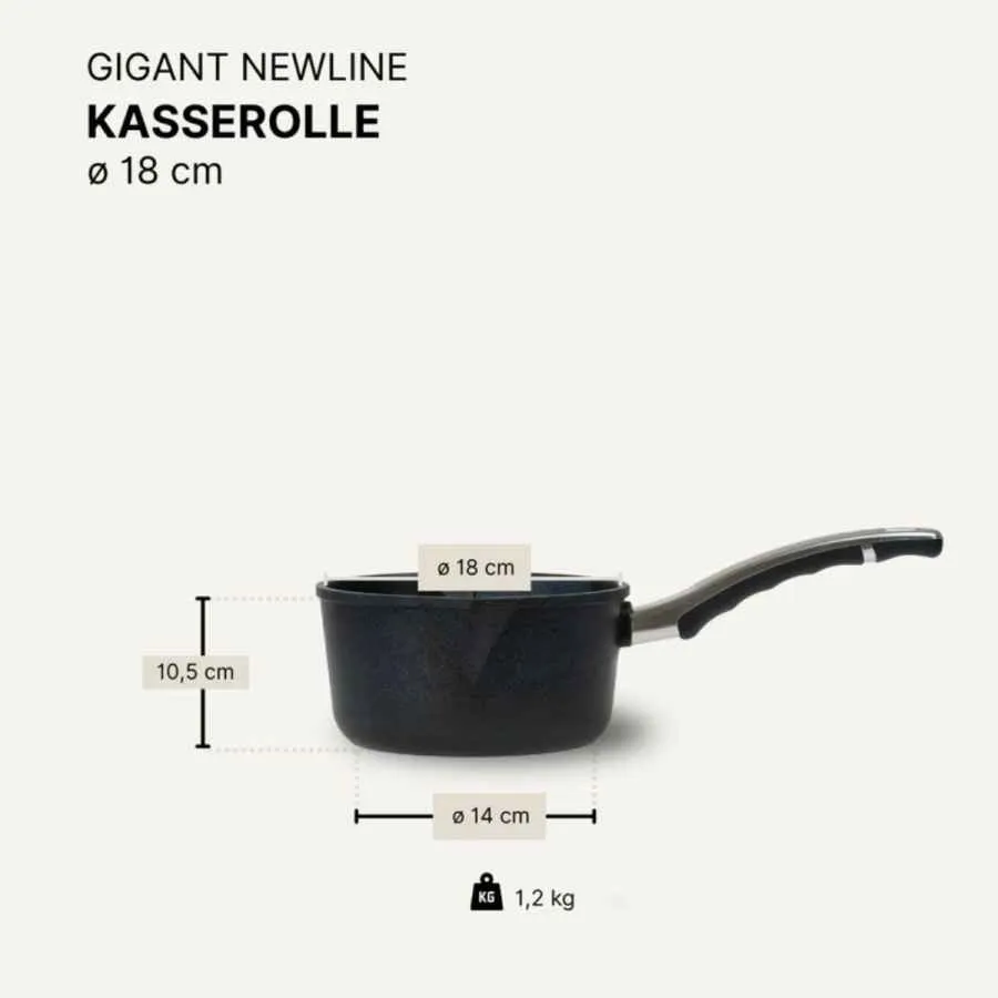 Stieltopf / Kasserolle 18 cm BAF GIGANT Newline für alle Herdarten